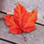 Classic Family Restaurant